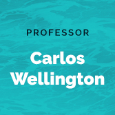 Carlos Wellington